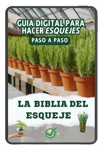 Manual: La biblia del Esqueje
